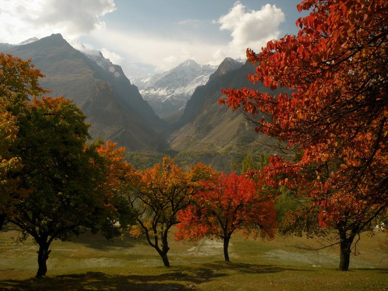 Autumn-in-Hunza-Valley-A-spectrum-of-gold-hues