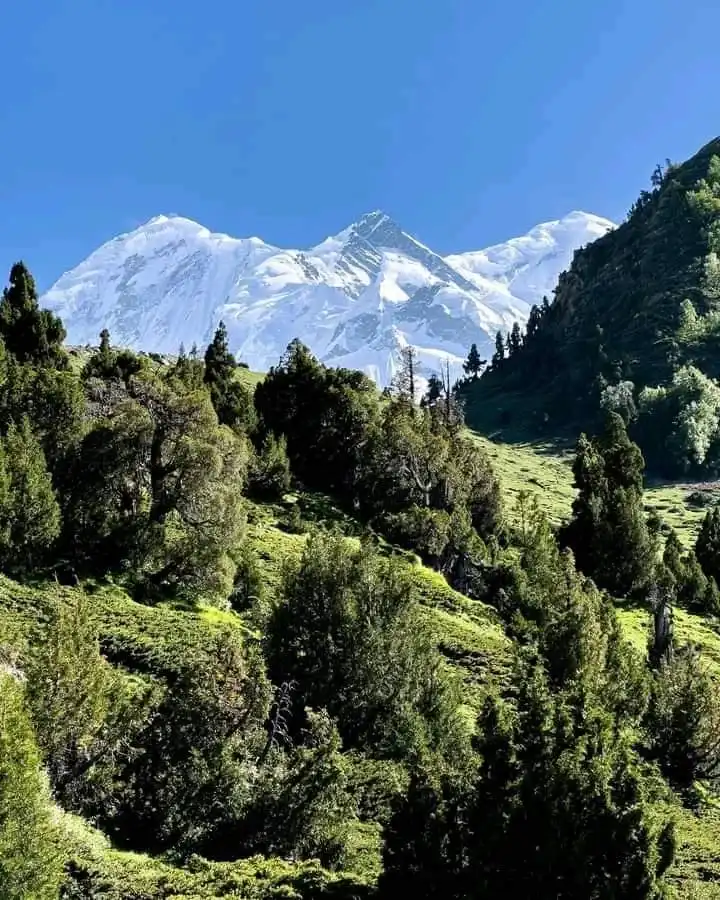 Rakaposhi trek