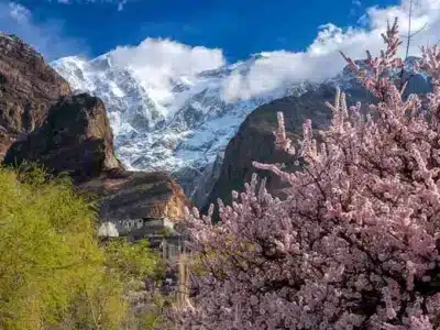 Hunza Spring Blossom Tour 